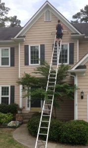 Bat Exclusion - Bat Removal