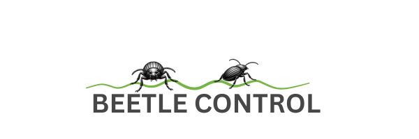 beetle control