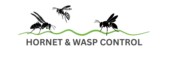 HORNET & WASP CONTROL