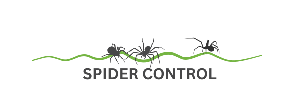 spider control - spider exterminator