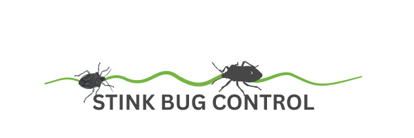 STINK BUG CONTROL