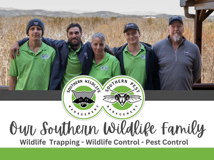 Southern Wildlife Management dba Southern Pest Management
