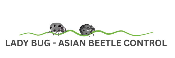LadyBug Control - Asian Beetle Control