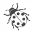 Lady Bug Removal - Ladybug Control - Lady Bug Exterminators