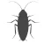 Roach Control - Roach Pest Control Services