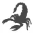 Scorpion Control - Scorpion Extermination Services