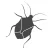 Stink Bug Control - Stinkbug Pest Control